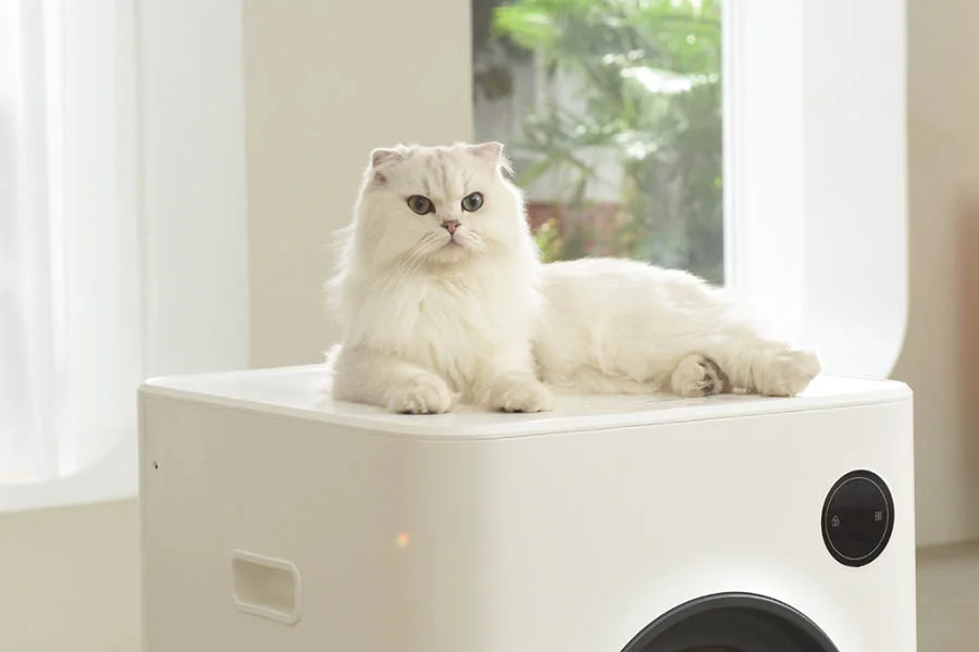 what is the best cat litter box
